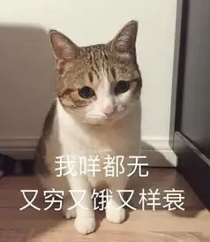 微信里捏胸那个表情包今夜