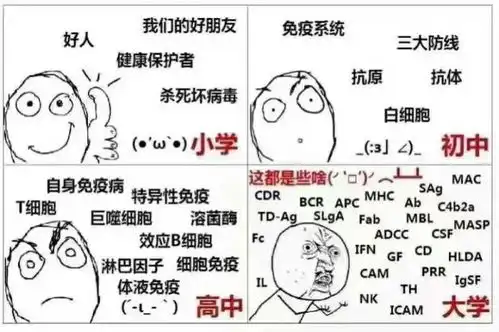 抗原自测表情包形容