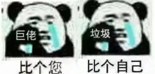 亲爱的我错了表情包熊猫